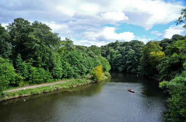 stock image River Wear