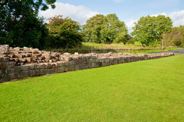 Hadrian's wall — Stockfoto