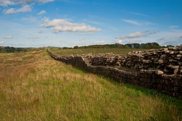 stock image Hadrian's wall