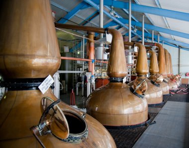 Whisky distillery stills