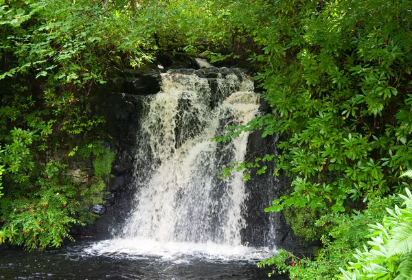 Highlands waterfall — Stock Photo, Image