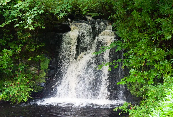 stock image Highlands waterfall