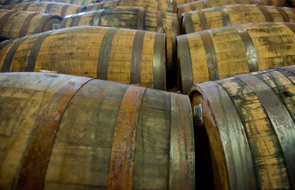 Barriles de whisky — Foto de Stock