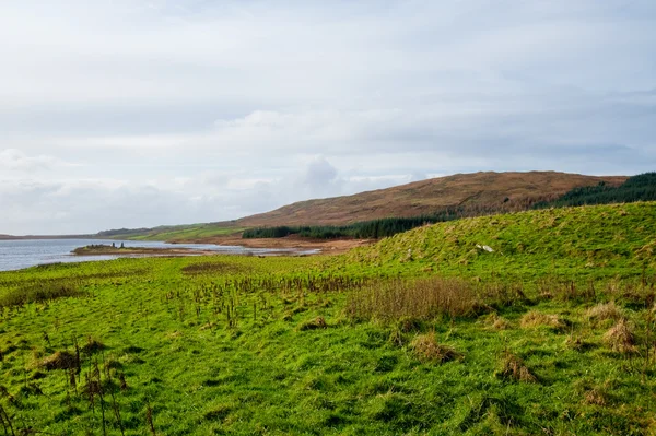 Eilean Mor Loch Finlaggan — Stock fotografie