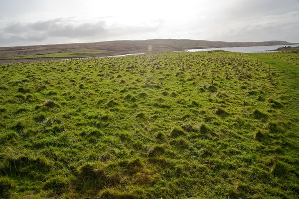 Eilean Mor Loch Finlaggan — Foto Stock
