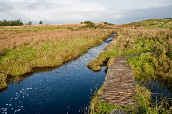 Footbridge to Eilean Mor Loch Finlaggan — Stock Photo, Image