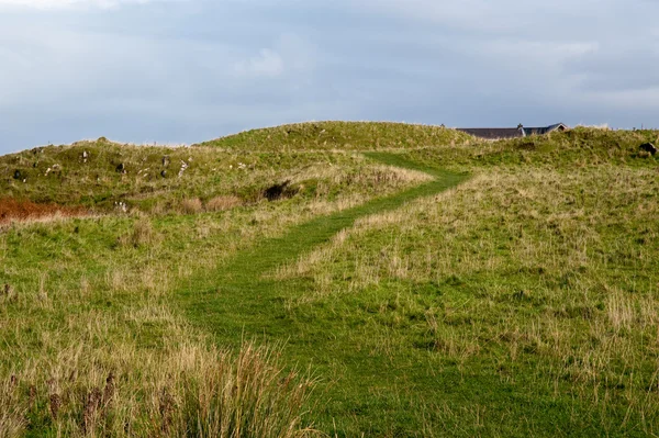 Path to Eilean Mor Loch Finlaggan — Stock Photo, Image