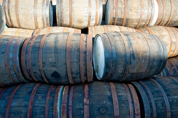 Barili di whisky — Foto Stock