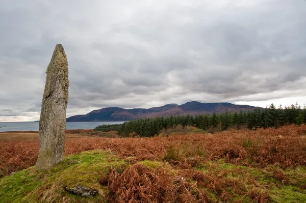 Standing stone and field — Stock Photo, Image