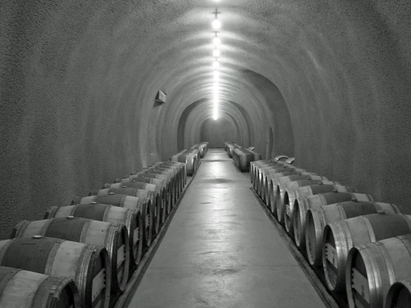 stock image Wine cellar