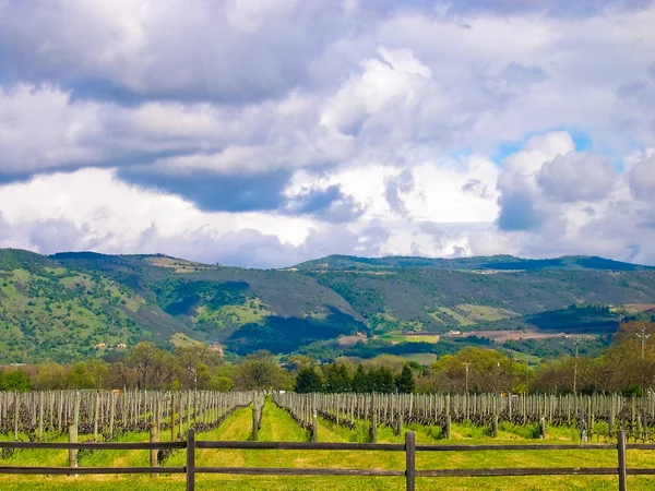 Kalifornien vingård — Stockfoto