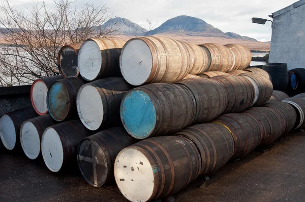 Pila Barriles Whisky Fuera Destilería — Foto de Stock