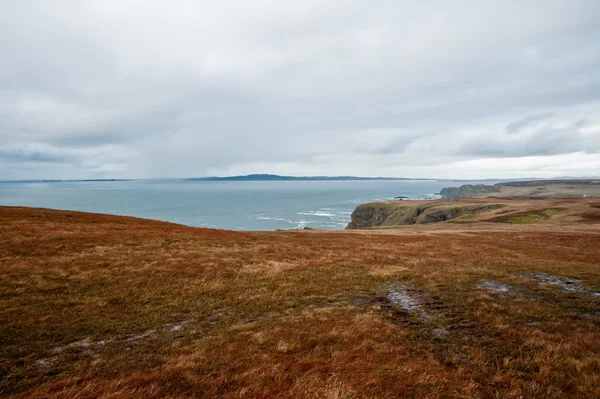 Füves Terület Isle Islay — Stock Fotó