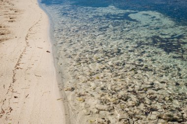 Barker's Beach