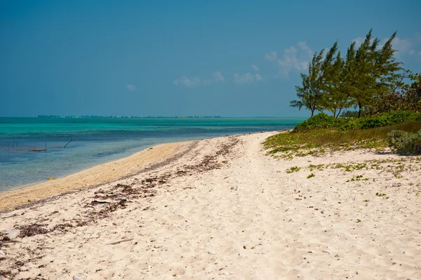 stock image Barker's Beach