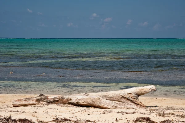 stock image Barker's Beach