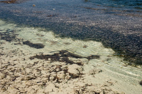 stock image Barker's Beach