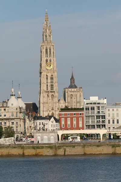 Antwerp. — Stok fotoğraf