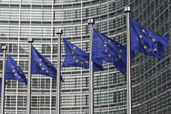 Єврозові прапори в цеглинах. — стокове фото