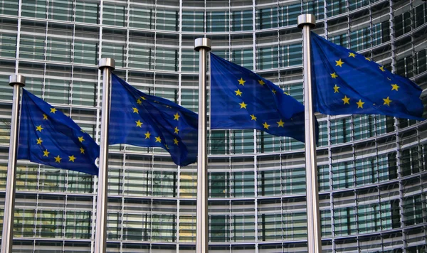 Brüksel 'de Avrupa bayrakları - Stok İmaj