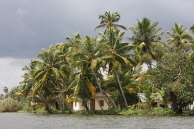 Kerala önemsizden