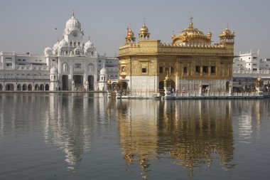 Amritsar 'daki altın tapınak