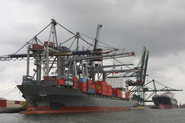 Pojemnik port w Antwerpii — Zdjęcie stockowe