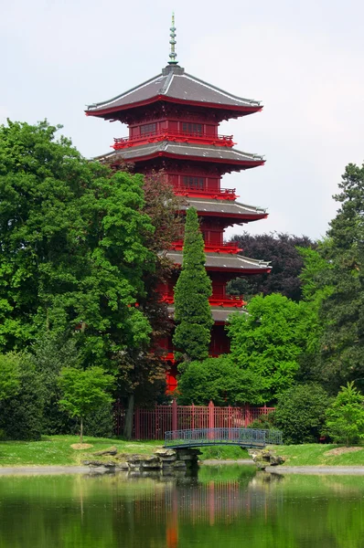 Japon pagoda — Stok fotoğraf
