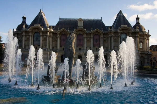 Palais des beaux arts w lille; — Zdjęcie stockowe