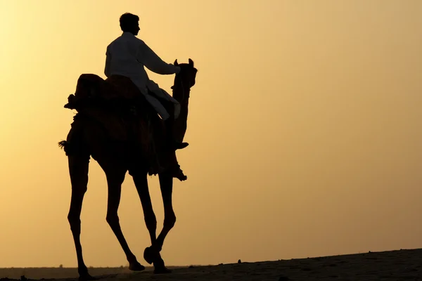 Sílhueta de cavaleiro de camelo — Fotografia de Stock