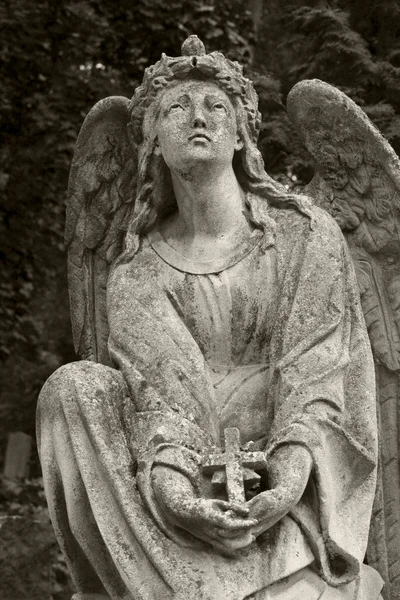 Траурный ангел — стоковое фото