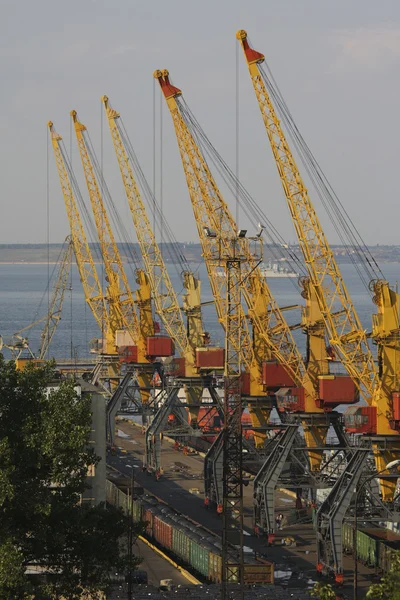 Kräne im Hafen von Odesa — Stockfoto