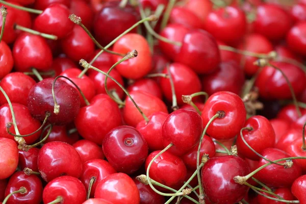 stock image Cherries