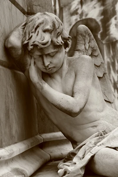 Spící anděl — Stock fotografie