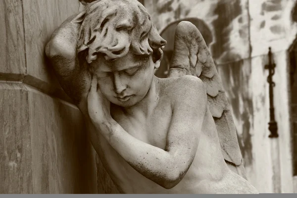 Sleeping angel — Stock Photo, Image