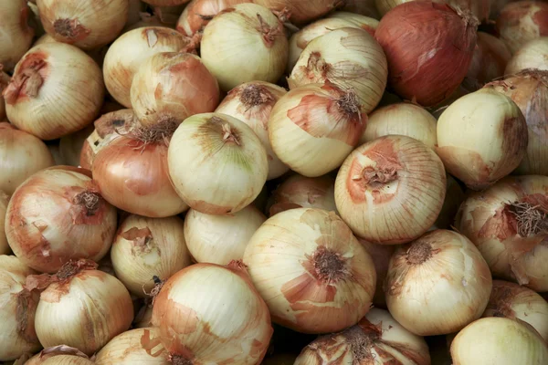 stock image Onions