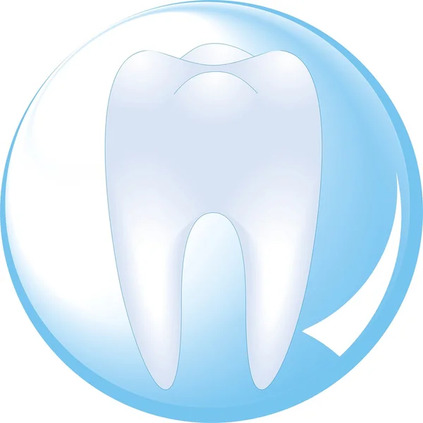 Dente Protegido Por Uma Esfera Vidro Odontologia — Vetor de Stock