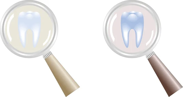 Dente sob lupa em foco de atenção, odontologia — Vetor de Stock