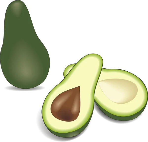 Two avocado halves with kernel – alligator pear — Stock Vector