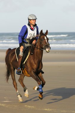 reiten strand kulüpler