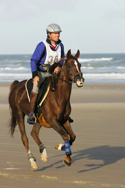 stock image Reiten am Strand