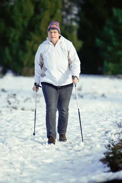 Nordic Walking Snow — Stock Photo, Image