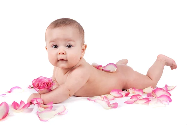 De baby en de bloemblaadjes van rozen — Stockfoto