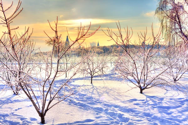 Beautiful winter landscape with crystal trees, shiny snow and ma — Stock Photo, Image