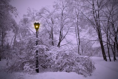 Lonely lantern shines in winter park at evening clipart