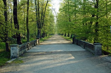 Bahar sokağa park.