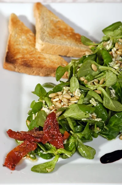 stock image Vegetarians salad