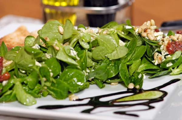 Vegetarians salad — Stock Photo, Image