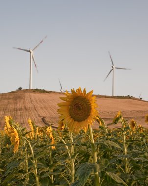 sürdürülebilir enerji