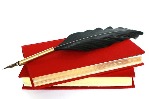 빨간 책, 잉크와 퀼 흰색 절연의 병 — 스톡 사진